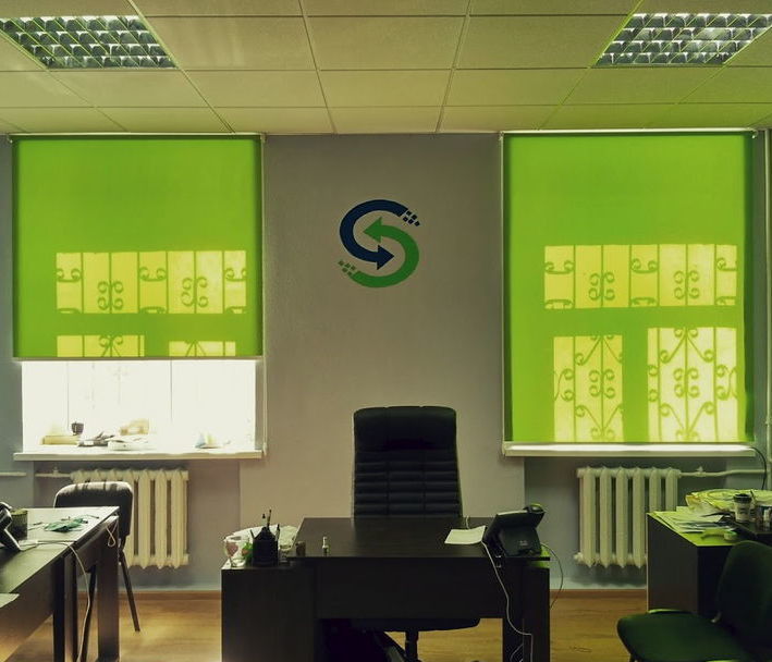 Жалюзи день-ночь